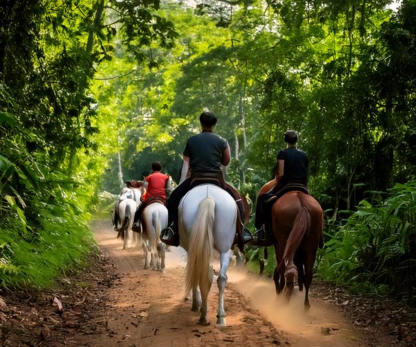 Cabalgata y Caminata Cultural